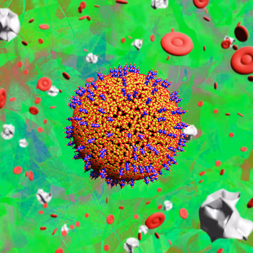 Nft Pandemic