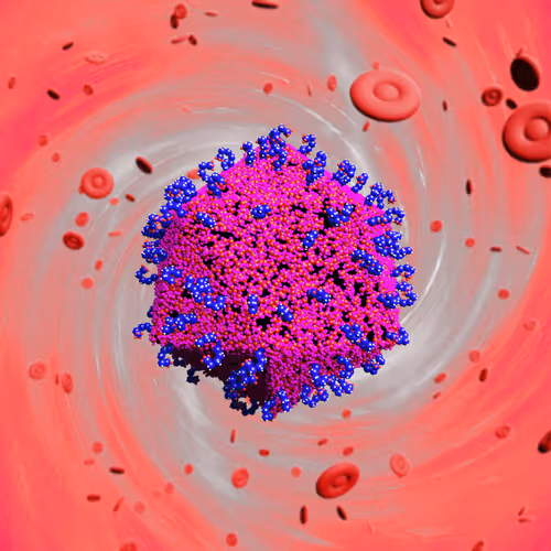 Nft Pandemic