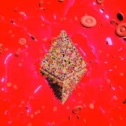 Pandemic Virus Specimen 3445