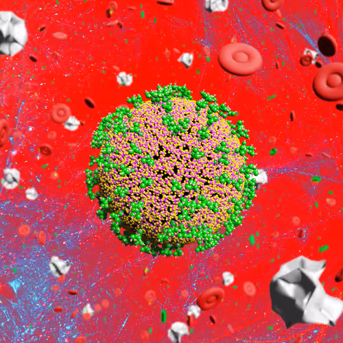 Nft Pandemic