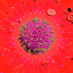 Pandemic Virus Specimen 1611