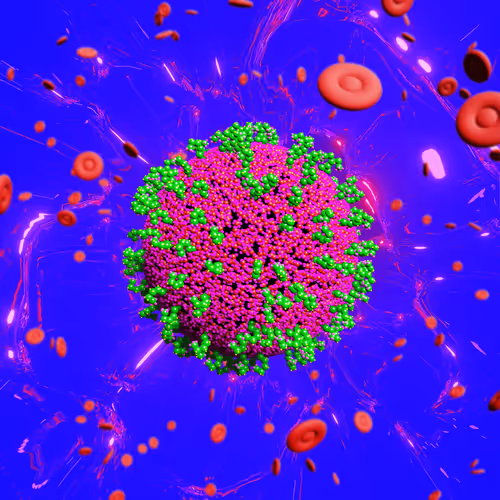 Nft Pandemic