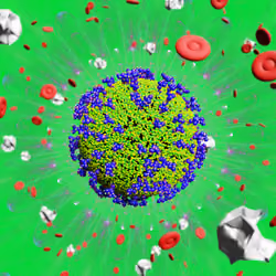 Pandemic Virus Specimen 3278