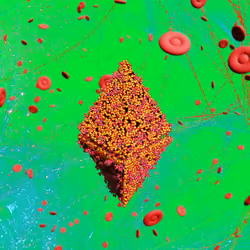 Pandemic Virus Specimen 2220