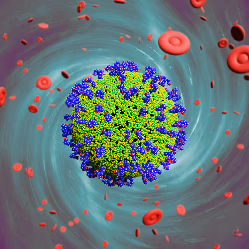 Nft Pandemic