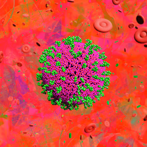 Nft Pandemic
