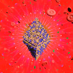 Pandemic Virus Specimen 3195