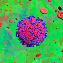 Pandemic Virus Specimen 3315