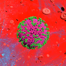 Pandemic Virus Specimen 3490