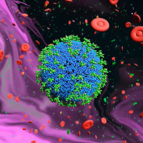 Nft Pandemic