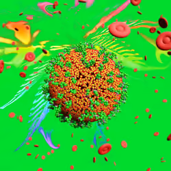 Pandemic Virus Specimen 710
