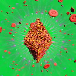 Pandemic Virus Specimen 938