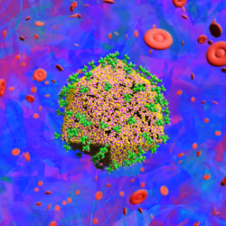 Pandemic Virus Specimen 1777