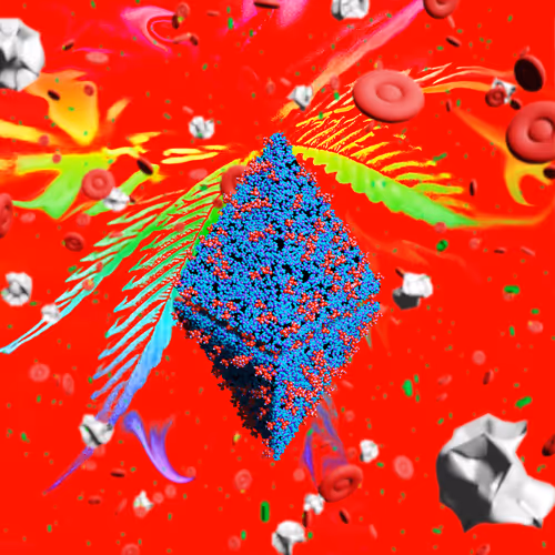 Nft Pandemic