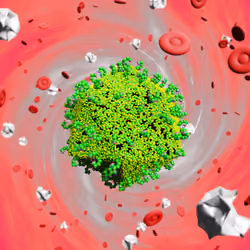 Pandemic Virus Specimen 2865