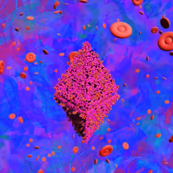 Pandemic Virus Specimen 3361
