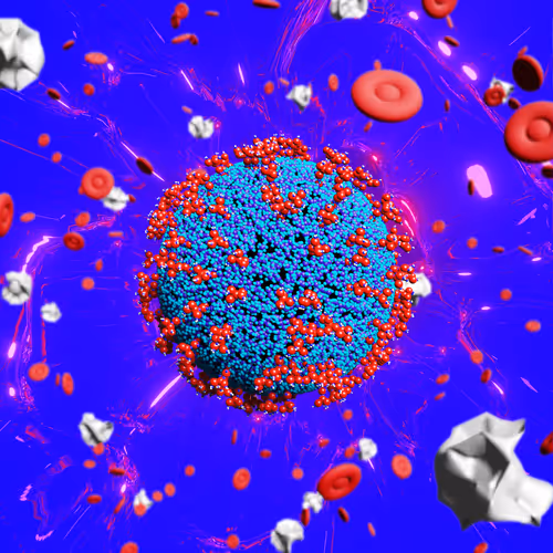 Nft Pandemic