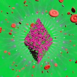 Pandemic Virus Specimen 2793