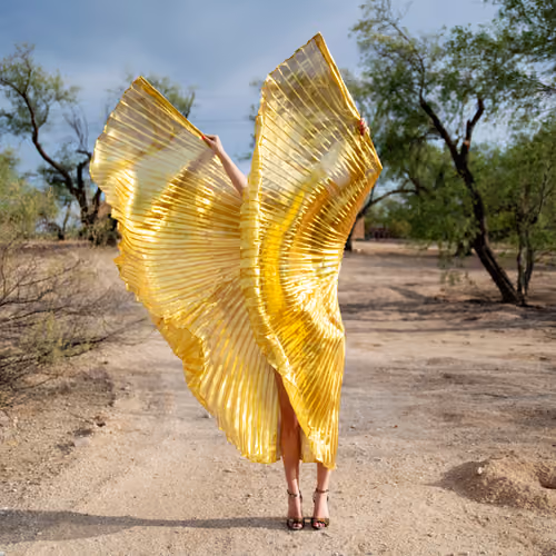 Gold Wings