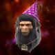 8035