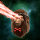 8194