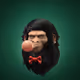 3954