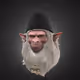 1683