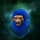 5293