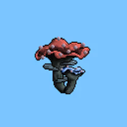 Mushroom #558