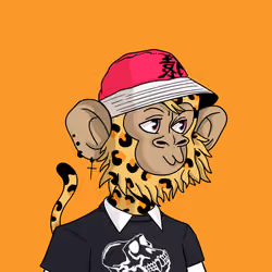 Cool Kid 2418