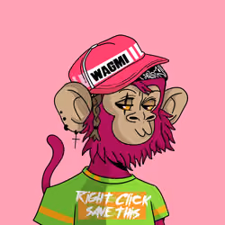 Cool Kid 1011