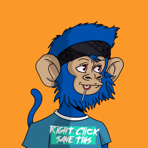 Coolkidznft