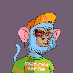 Cool Kid 4451