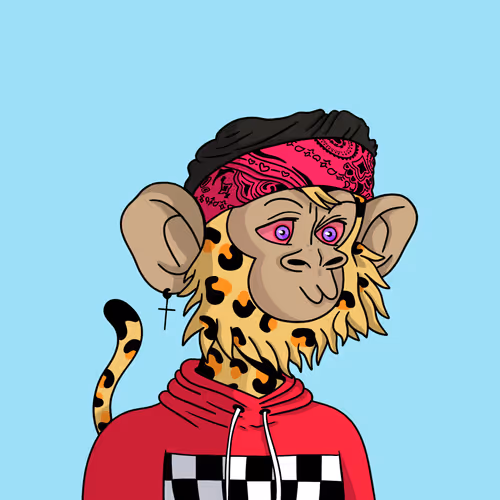 Coolkidznft