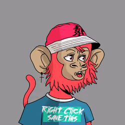 Cool Kid 72