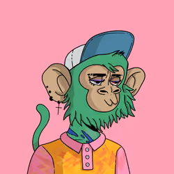 Cool Kid 562