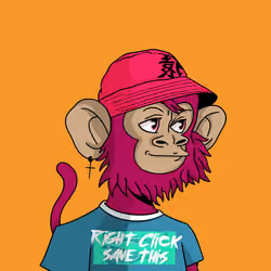Cool Kid 1278