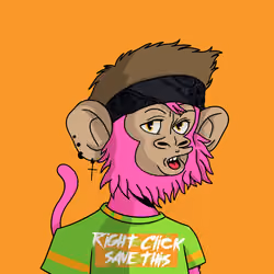 Cool Kid 762