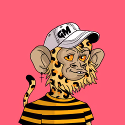 Cool Kid 5537