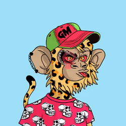 Cool Kid 464