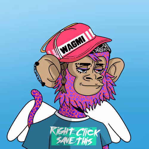 Coolkidznft