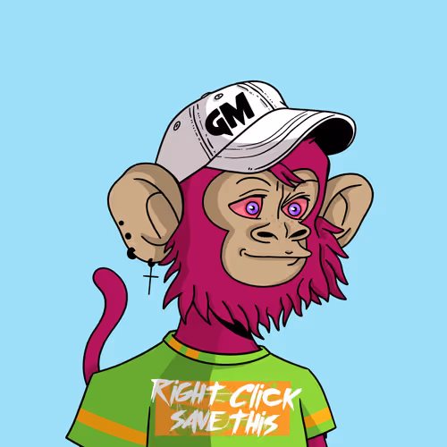 Coolkidznft