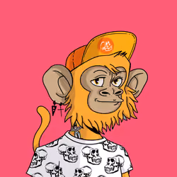 Cool Kid 647