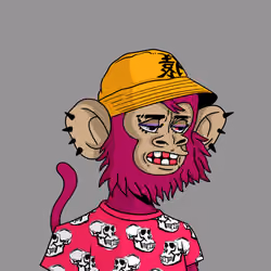 Cool Kid 2873