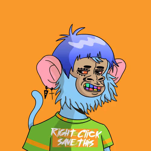 Cool Kid 866
