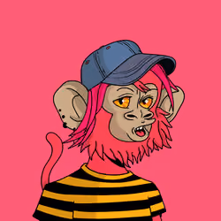 Cool Kid 364