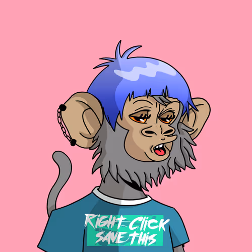 Coolkidznft