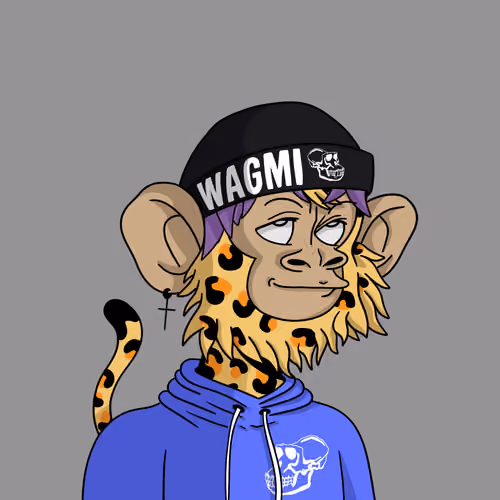 Cool Kid 526
