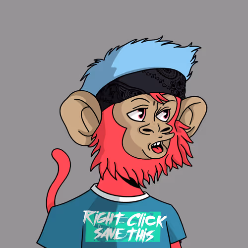 Coolkidznft