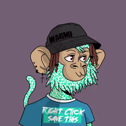 Cool Kid 822